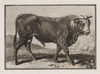 KG 01364
<br/>
Koe en twee tijgers (3 bladen)
<br/>
<em>Gränicher, Samuel (1758-1813)</em>